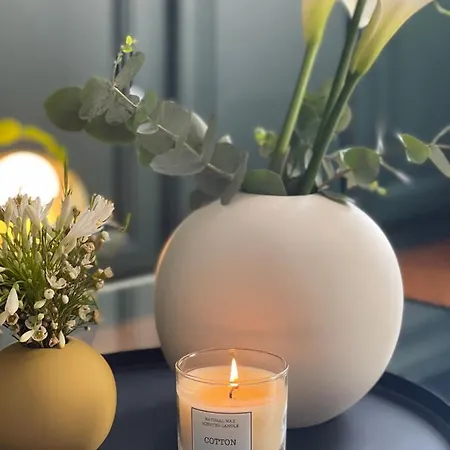 Beaux-arts • 2 2 Sdb • Parking Prive * Rouen